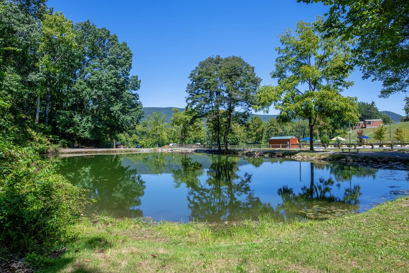 Yogi Bear Lakeside Family Lodge-15